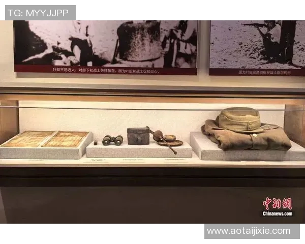 深入分析上海飞盘队阵地战战术与技巧的全面解读